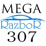 Megarazbor307