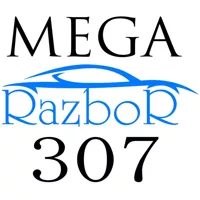 Megarazbor307